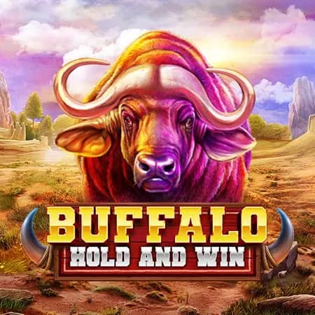 Buffalo Hold and Win