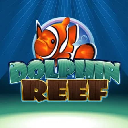 Dolphin Reef