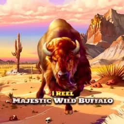1 Reel - Majestic Wild Buffalo