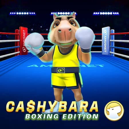 Cashybara Boxing Edition