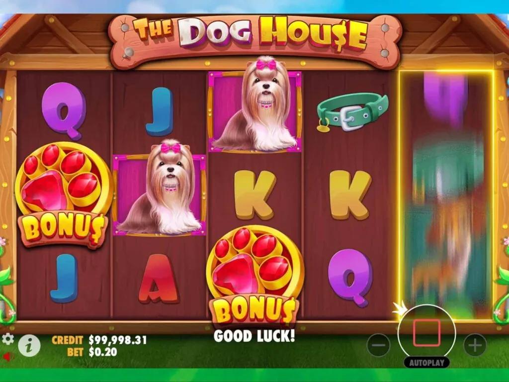 Bonuses and Special Features of The Dog House