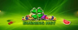 Burning Hot Demo & Review 2026 | Play for Free