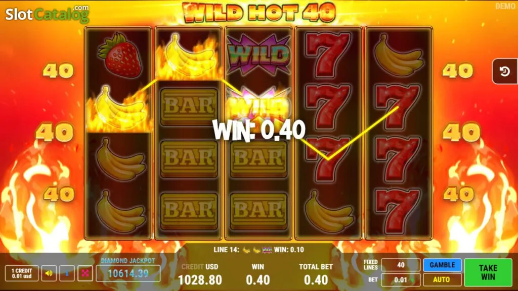 Bonuses and Special Features of Wild Hot 40