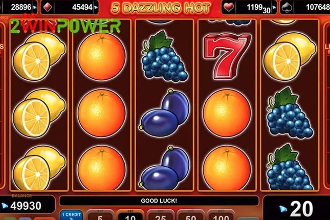 amusnet - slot developer