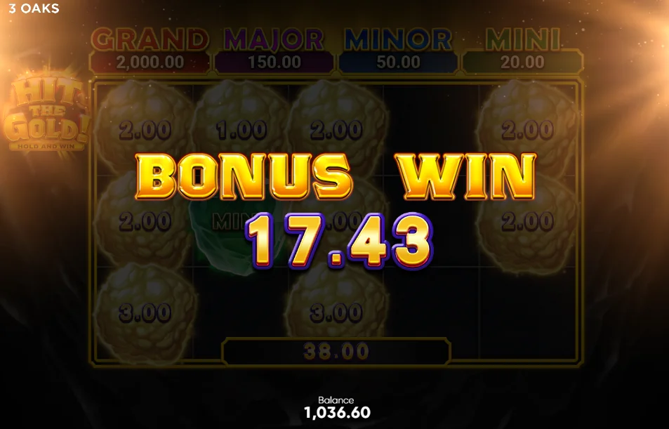 Hit the Gold! slot features and rtp