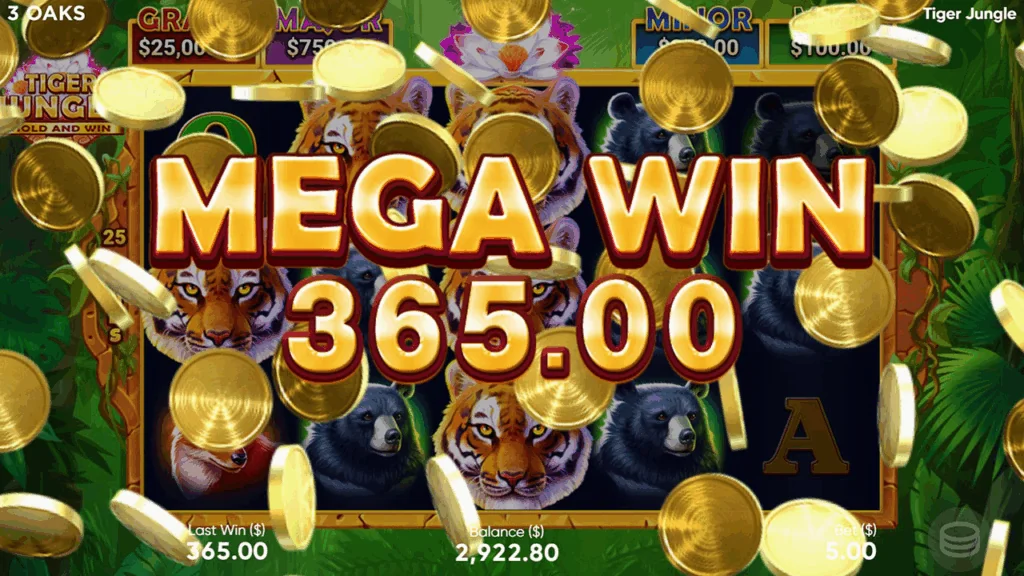 how to play Tiger Jungle slot game