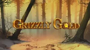 Grizzly gold Slot Demo – Honest Review, RTP & Volatility