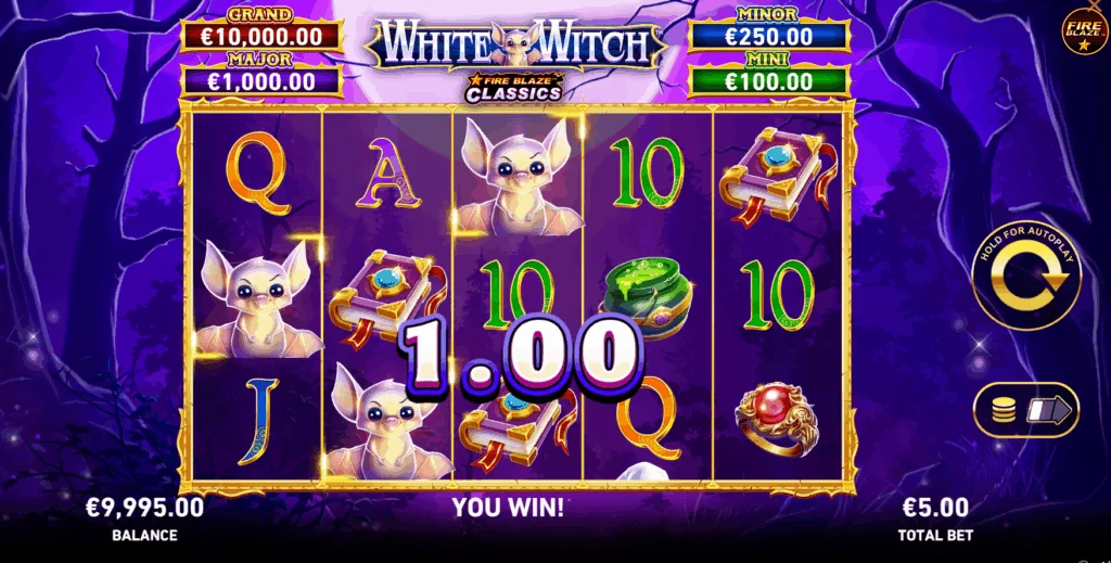 Fire blaze white witch slot game screenshot