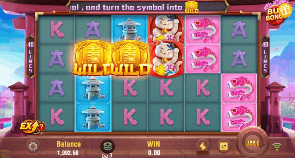 Neko Fortune slot features and rtp