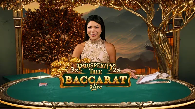 Prosperity Tree Baccarat demo gameplay