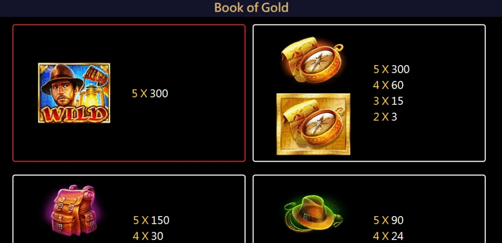 how to play Book of Gold slot game