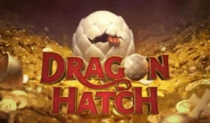 Dragon Hatch Slot Demo – Honest Review, RTP & Volatility