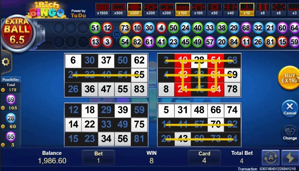 how to play iRich Bingo slot game