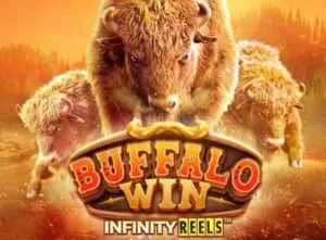 Buffalo Win Demo – Honest Review, RTP & Strategy