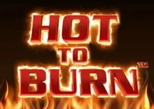 Hot to Burn Demo – Honest Review, RTP & Strategy