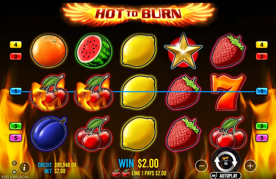 Hot to Burn slot game